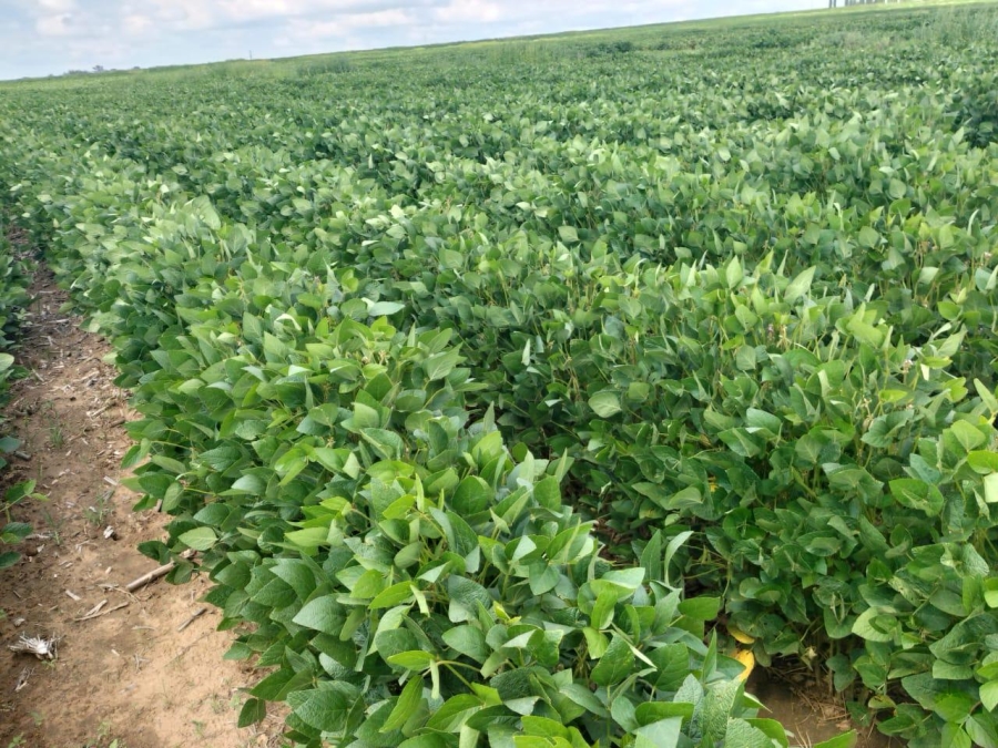 0 Bedroom Property for Sale in Bethlehem Rural Free State